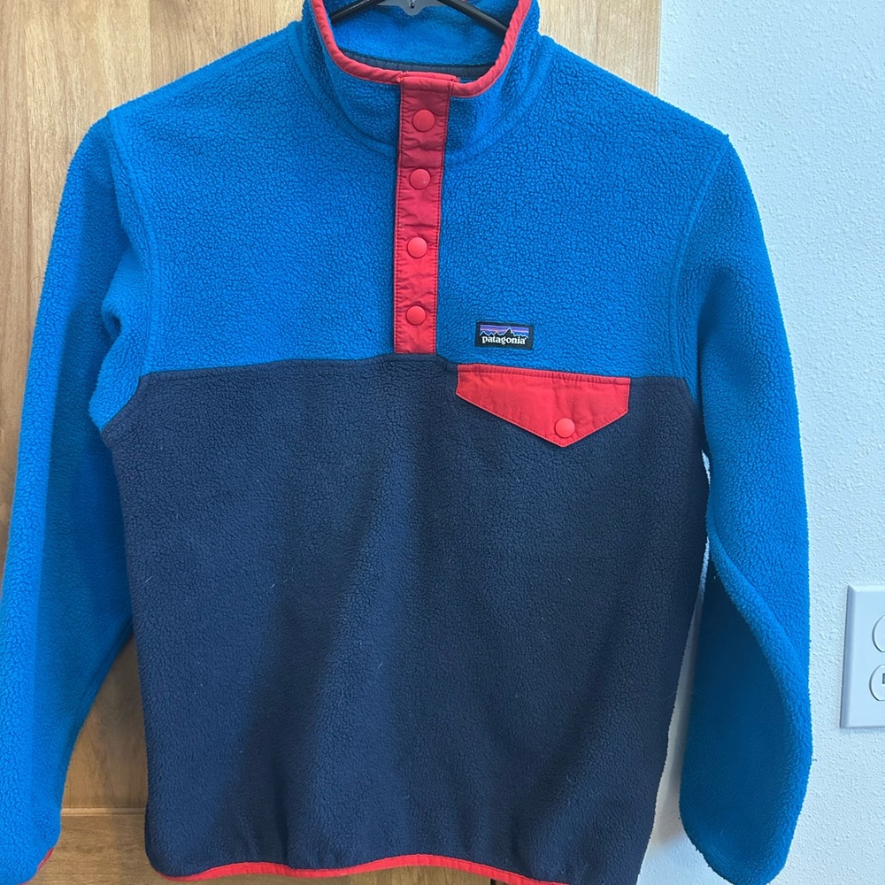Patagonia Synchilla Fleece